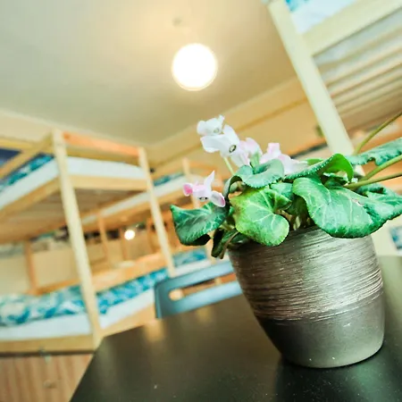 Poco Loco Hostel *